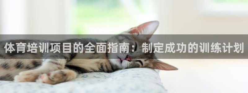 耀世娱乐挂机：体育培训项目的全面指南：制定成功的训练