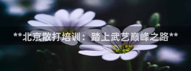 耀世平台代理多少钱：**北京散打培训：踏上武艺巅峰之