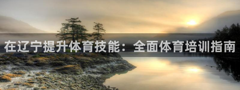 耀世娱乐安全吗：在辽宁提升体育技能：全面体育培训指南