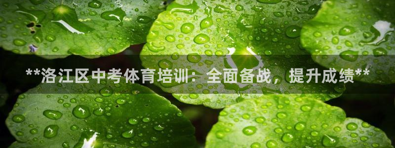 耀世娱乐含山县：**洛江区中考体育培训：全面备战，提