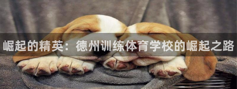 耀世娱乐客服电话是多少
