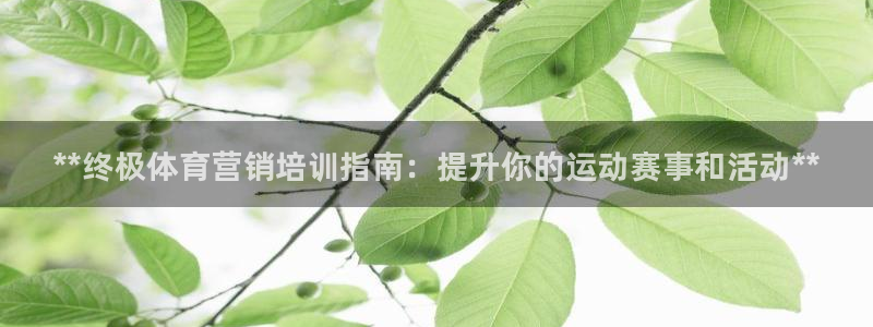 耀世平台代理注册登录失败：**终极体育营销培训指南：提升你的