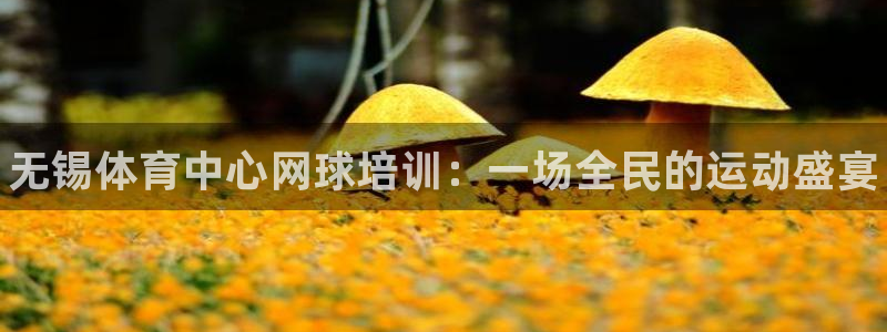 耀世平台的运营模式分析：无锡体育中心网球培训：一场全民的运动