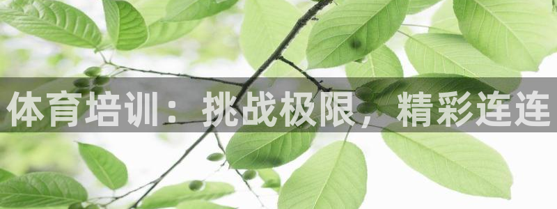 耀世平台客服24小时在线咨询电话：体育培训：挑战极限