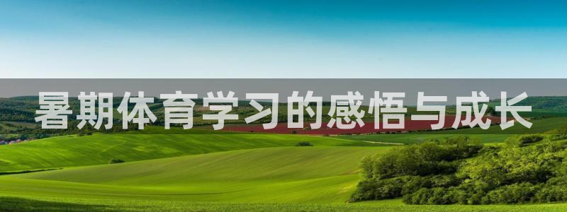 耀世娱乐脚本下载安装：暑期体育学习的感悟与成长